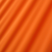  Neon Orange (custom color)