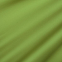  Moss Green (custom color)